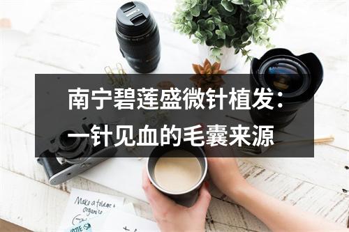 南宁碧莲盛微针植发：一针见血的毛囊来源