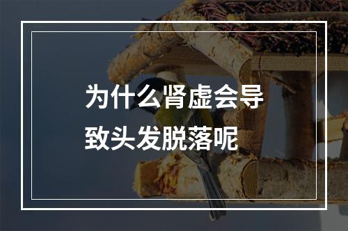 为什么肾虚会导致头发脱落呢