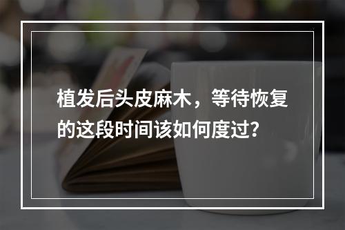 植发后头皮麻木，等待恢复的这段时间该如何度过？