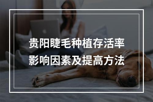 贵阳睫毛种植存活率影响因素及提高方法