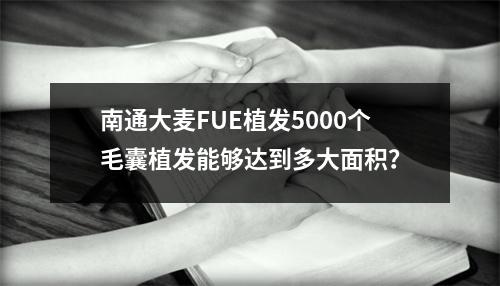 南通大麦FUE植发5000个毛囊植发能够达到多大面积？