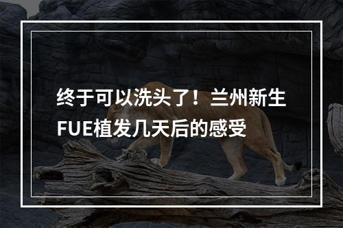 终于可以洗头了！兰州新生FUE植发几天后的感受