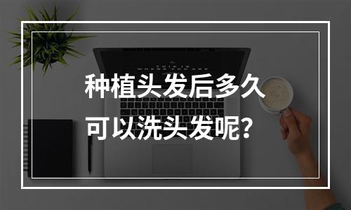 种植头发后多久可以洗头发呢？