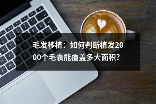 毛发移植：如何判断植发2000个毛囊能覆盖多大面积？