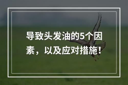 导致头发油的5个因素，以及应对措施！