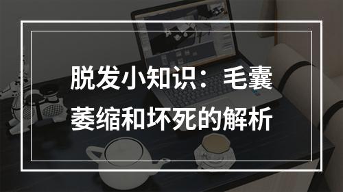 脱发小知识：毛囊萎缩和坏死的解析