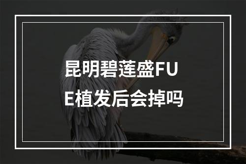 昆明碧莲盛FUE植发后会掉吗