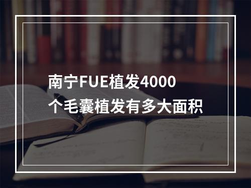 南宁FUE植发4000个毛囊植发有多大面积