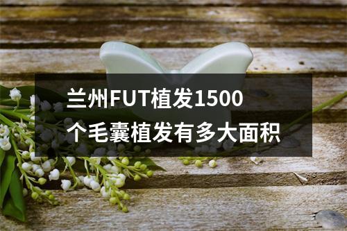 兰州FUT植发1500个毛囊植发有多大面积