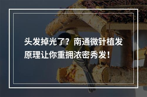 头发掉光了？南通微针植发原理让你重拥浓密秀发！