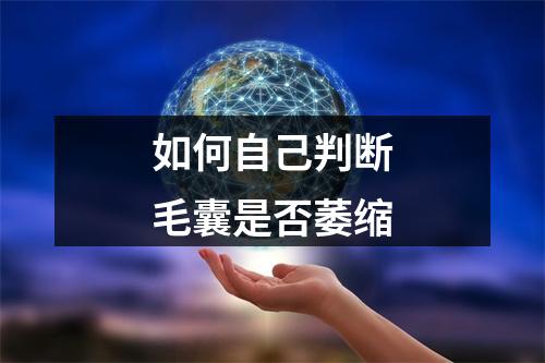 如何自己判断毛囊是否萎缩