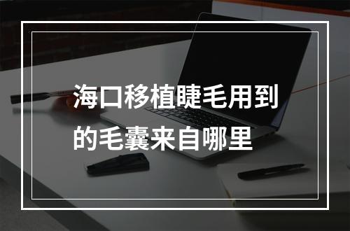 海口移植睫毛用到的毛囊来自哪里