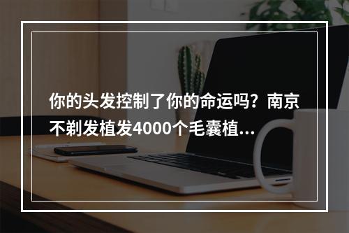 你的头发控制了你的命运吗？南京不剃发植发4000个毛囊植发有多大面积