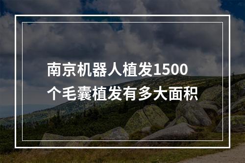 南京机器人植发1500个毛囊植发有多大面积