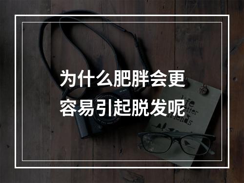 为什么肥胖会更容易引起脱发呢