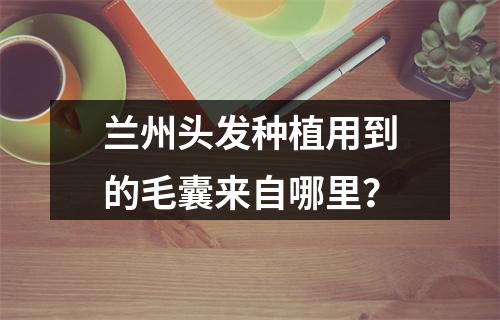 兰州头发种植用到的毛囊来自哪里？