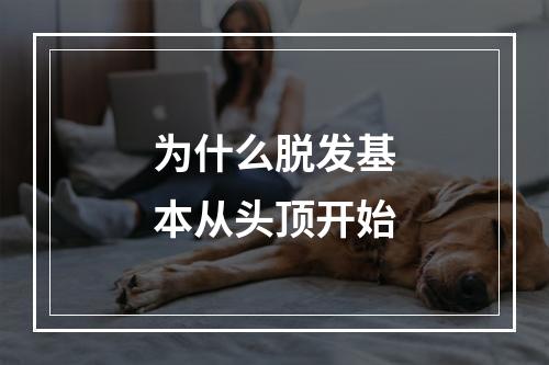 为什么脱发基本从头顶开始