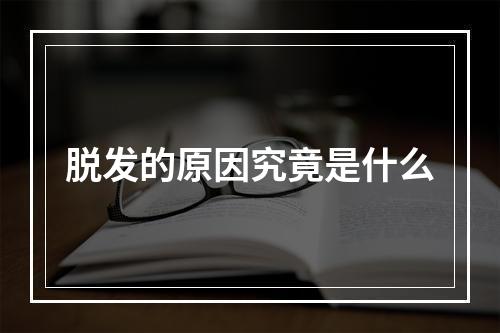 脱发的原因究竟是什么