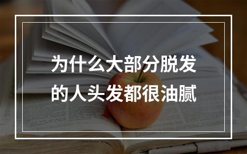 为什么大部分脱发的人头发都很油腻