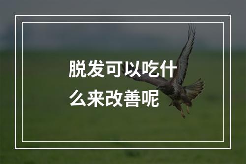 脱发可以吃什么来改善呢