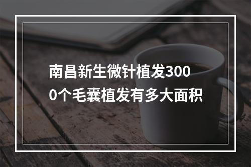 南昌新生微针植发3000个毛囊植发有多大面积