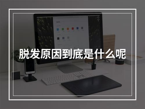 脱发原因到底是什么呢