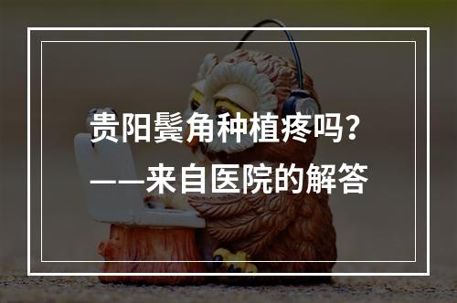 贵阳鬓角种植疼吗？——来自医院的解答