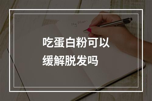 吃蛋白粉可以缓解脱发吗