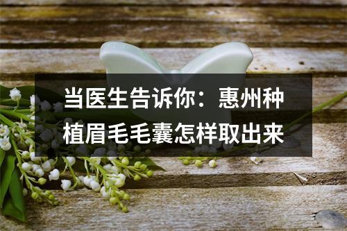 当医生告诉你：惠州种植眉毛毛囊怎样取出来