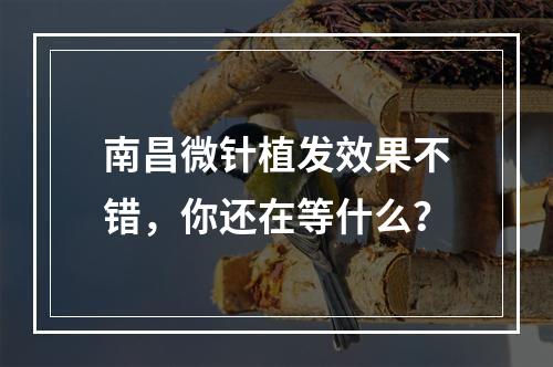 南昌微针植发效果不错，你还在等什么？