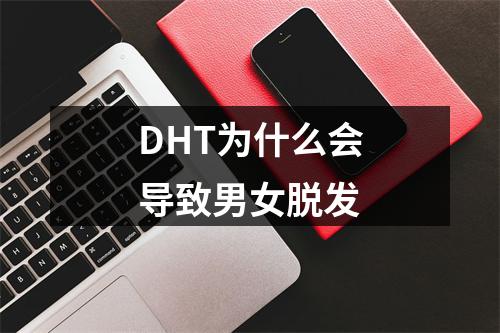 DHT为什么会导致男女脱发