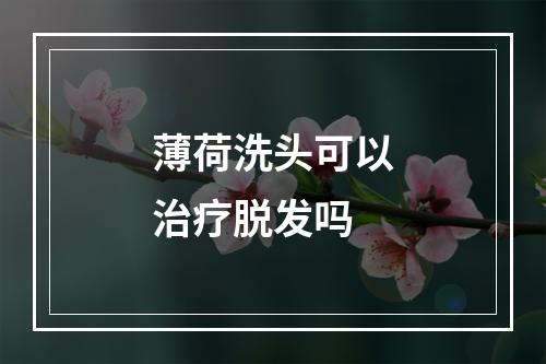 薄荷洗头可以治疗脱发吗