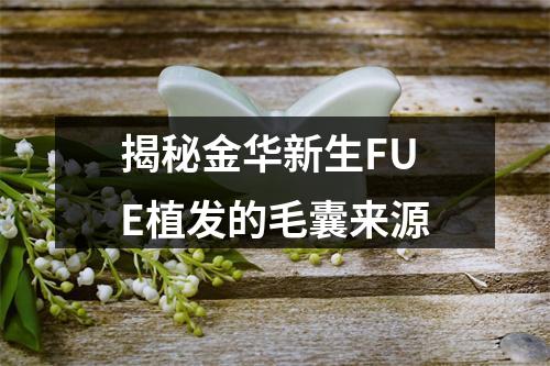 揭秘金华新生FUE植发的毛囊来源