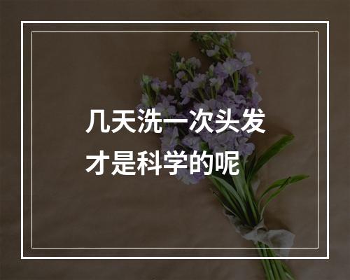 几天洗一次头发才是科学的呢