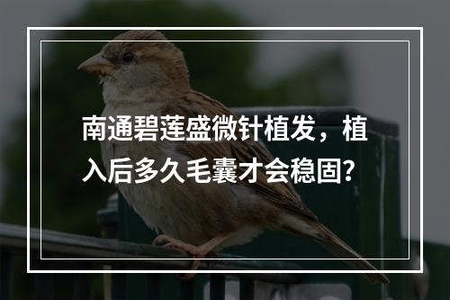 南通碧莲盛微针植发，植入后多久毛囊才会稳固？