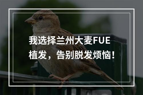 我选择兰州大麦FUE植发，告别脱发烦恼！