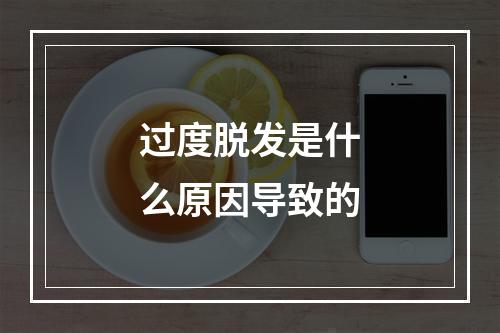 过度脱发是什么原因导致的