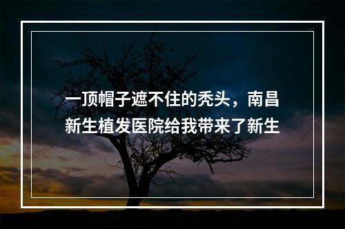 一顶帽子遮不住的秃头，南昌新生植发医院给我带来了新生