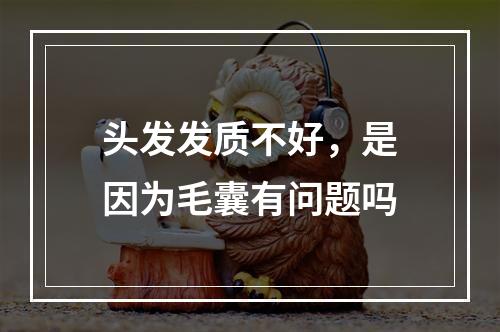 头发发质不好，是因为毛囊有问题吗