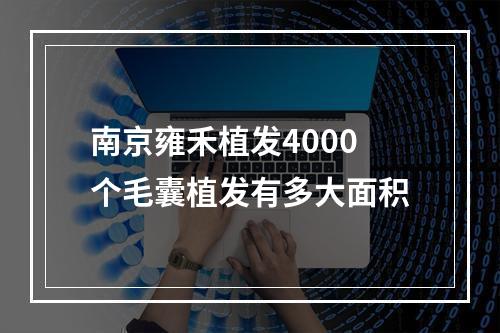 南京雍禾植发4000个毛囊植发有多大面积