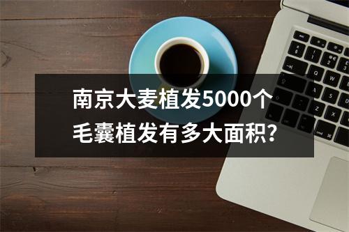 南京大麦植发5000个毛囊植发有多大面积？