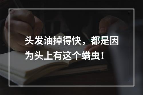 头发油掉得快，都是因为头上有这个螨虫！