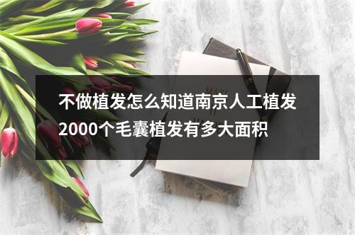 不做植发怎么知道南京人工植发2000个毛囊植发有多大面积