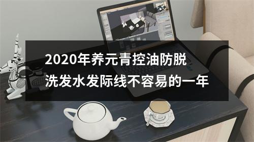 2020年养元青控油防脱洗发水发际线不容易的一年