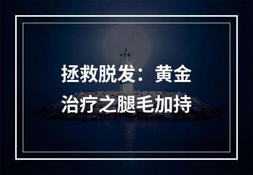 拯救脱发：黄金治疗之腿毛加持