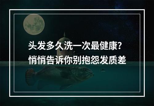 头发多久洗一次最健康？悄悄告诉你别抱怨发质差