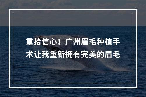 重拾信心！广州眉毛种植手术让我重新拥有完美的眉毛