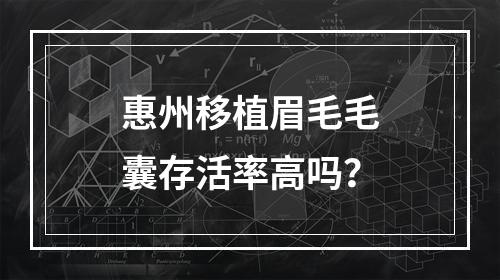 惠州移植眉毛毛囊存活率高吗？