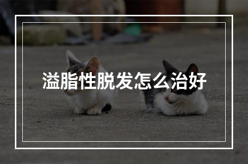 溢脂性脱发怎么治好