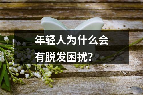 年轻人为什么会有脱发困扰？